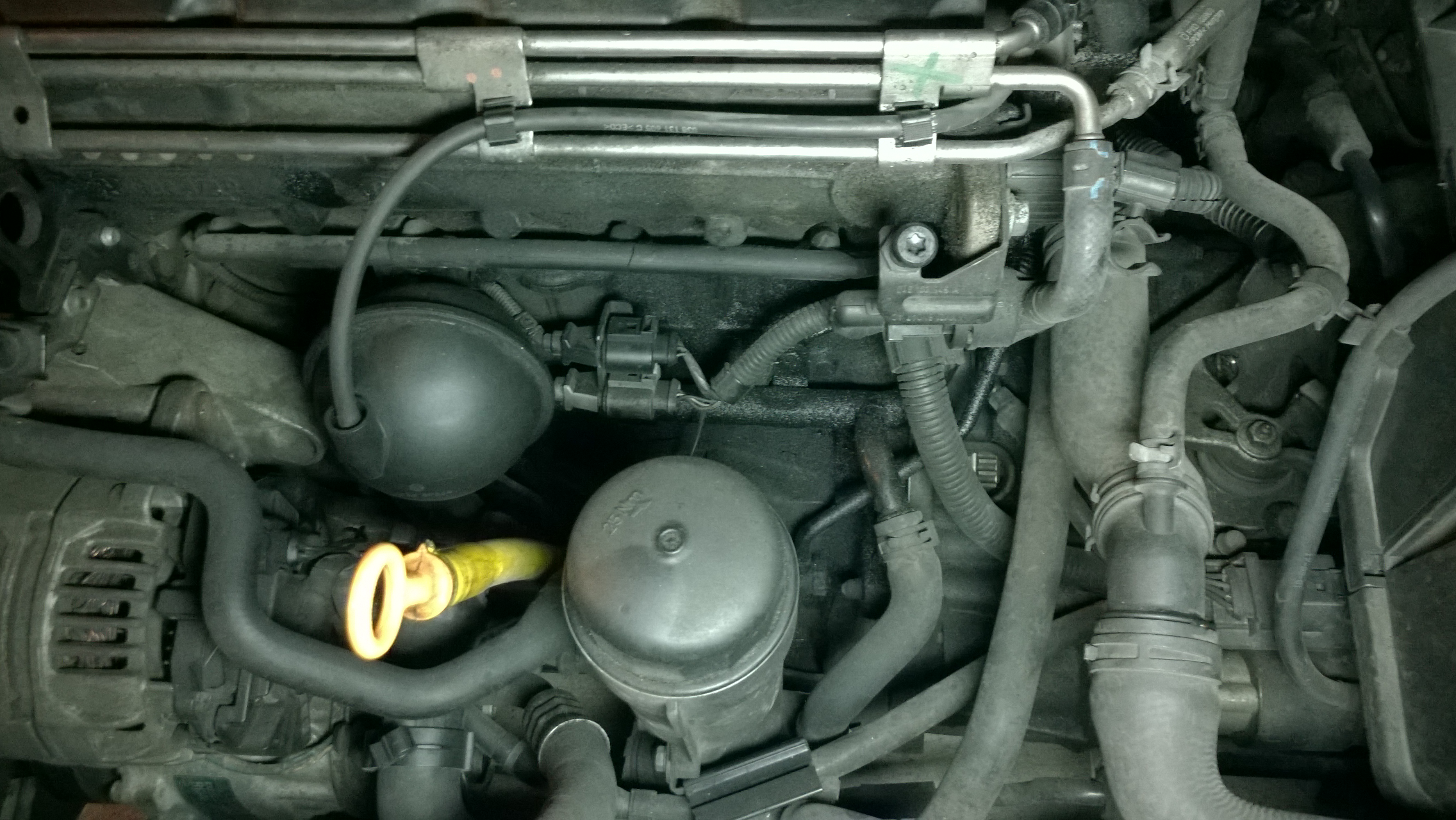 Mk4 Asz Perdita Acqua 1Lt Ogni 20Km Zona Sopra Il Cambio Motore & Elettronica VW Golf Club